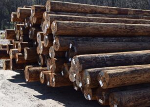 Lumber, comes from the only natural renewable resource, our forests.
