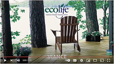 Ecolife video cover